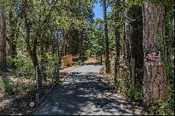 Druid Lane, Pine Grove CA 95665