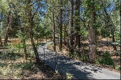 Druid Lane, Pine Grove CA 95665