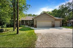 10060 SW 82nd Avenue, Lemond Twp MN 56026