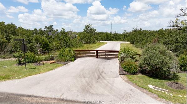 19381 Moonlit Hollow Loop, College Station TX 77845