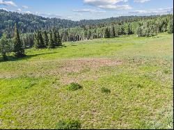 322 WHITE PINE CANYON RD #322, Park City UT 84060