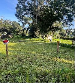 735 Trenton Road, Lakeland FL 33815