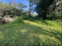 735 Trenton Road, Lakeland FL 33815