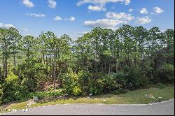 96744 Soap Creek Drive, Fernandina Beach FL 32034