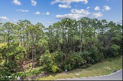 96744 Soap Creek Drive, Fernandina Beach FL 32034