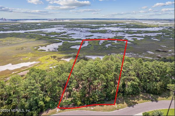 96744 Soap Creek Drive, Fernandina Beach FL 32034