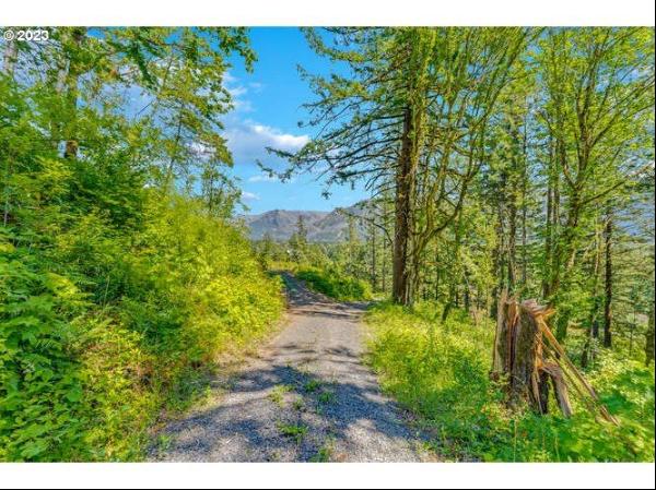 0 Warren Rd #3, North Bonneville WA 98639