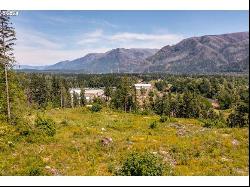 0 Warren Rd #2, North Bonneville WA 98639