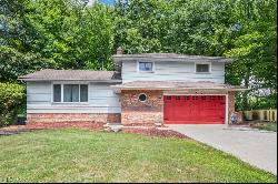 31875 Farm Drive, Solon OH 44139