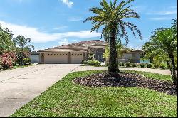 8827 Scout Lake Court, New Port Richey FL 34654