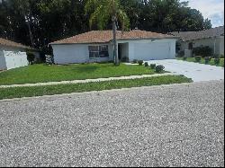 9914 Lopez Drive, New Port Richey FL 34655