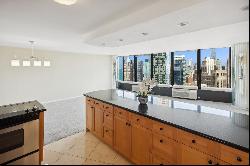 505 N Lake Shore Drive #4401, Chicago IL 60611