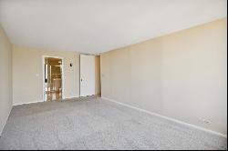 505 N Lake Shore Drive #4401, Chicago IL 60611