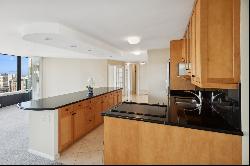 505 N Lake Shore Drive #4401, Chicago IL 60611