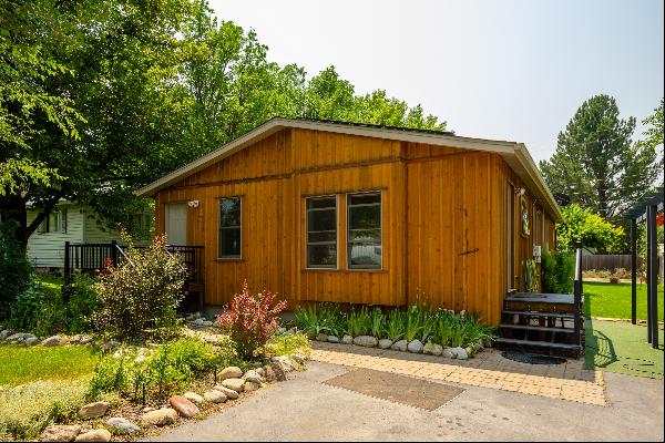 Spacious Single Family in downtown Carbondale