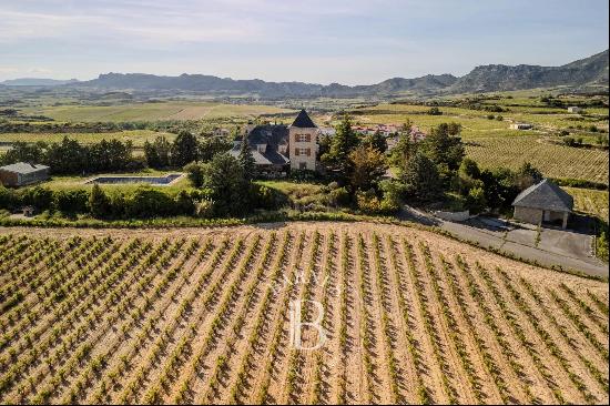 ESTATE WITH VINEYARD IN LA RIOJA