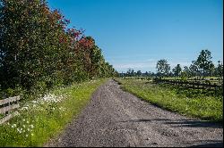 Country House on a 15-Hectare Property