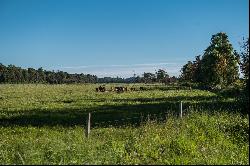 Country House on a 15-Hectare Property