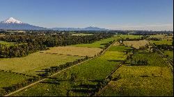 Country House on a 15-Hectare Property