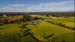 Farm in Puerto Octay