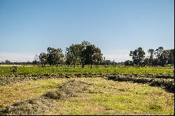 Farm in Puerto Octay