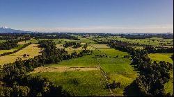 Farm in Puerto Octay