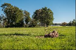 Farm in Puerto Octay