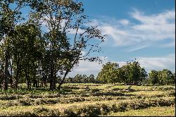 Farm in Puerto Octay