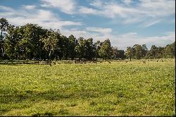 Farm in Puerto Octay