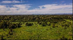 Farm in Puerto Octay