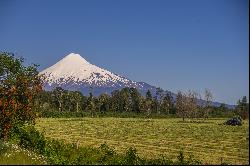 Farm in Puerto Octay