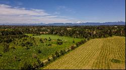 Farm in Puerto Octay