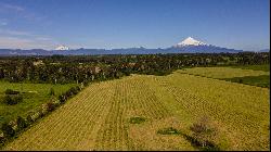 Farm in Puerto Octay