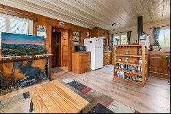 13 Lakeview, Fawnskin, CA 92333