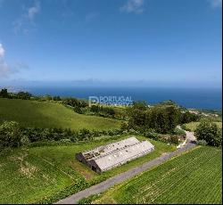 Azores Azores