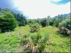 1426 Co Rd 309, Georgetown FL 32139