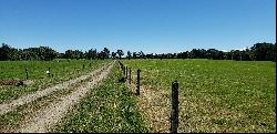 Farm in Puerto Octay