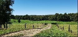 Farm in Puerto Octay