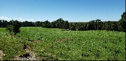 Farm in Puerto Octay