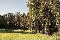 Farm in Puerto Octay