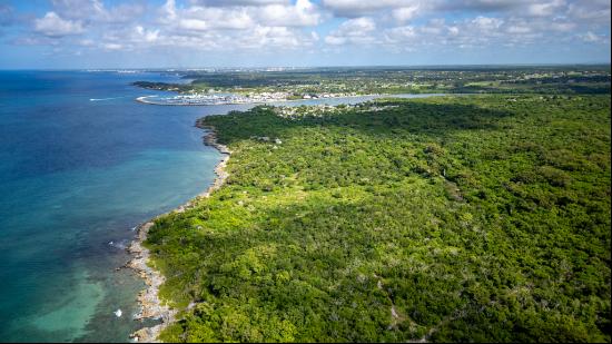 Boca Chavon