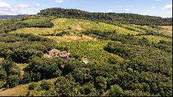 Authentic 13th-century stone farmhouse set in 55 hectares, including 15 hectares of vines