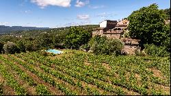 Authentic 13th-century stone farmhouse set in 55 hectares, including 15 hectares of vines