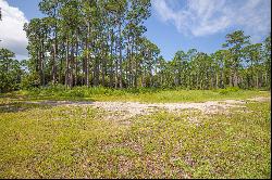 TBA Whisper Lane, Santa Rosa Beach FL 32459