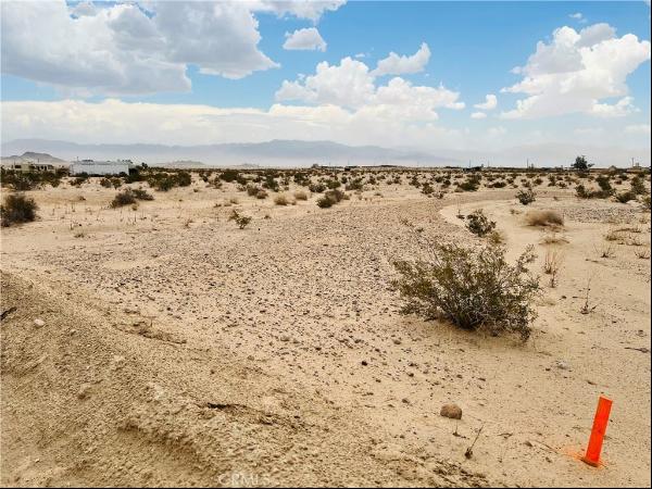 Twentynine Palms