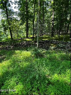 Lot 10 Blossom Road, Lackawaxen PA 18435