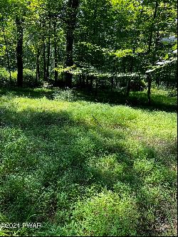 Lot 10 Blossom Road, Lackawaxen PA 18435