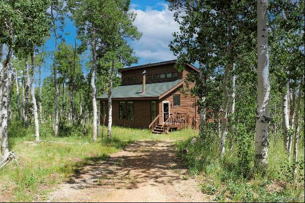 229 Sheep Ridge Road, Fairplay CO 80440