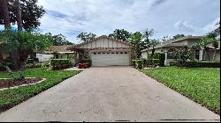 3030 Bolt Drive, Palm Harbor FL 34685