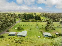 64-5203 KAUAKEA RD,Kamuela, HI, 96743